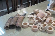 Cận cảnh lượng ngà voi “khủng” vừa bị Công an TP Hà Nội thu giữ