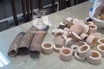 Cận cảnh lượng ngà voi “khủng” vừa bị Công an TP Hà Nội thu giữ