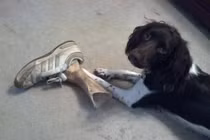 Loạt ảnh độc lạ ấn tượng khiến bạn vừa nhìn muốn đau tim