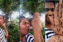 Kỳ lạ người đàn ông “sát thủ” loài muỗi, hô tiếng muỗi đến