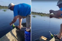 Đi câu, hai bố con khiếp vía câu trúng "bá chủ đầm lầy"