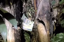 Trộm phong bì của chú rể khi được mời đến ăn cỗ cưới