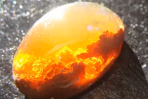 Giật mình những bức ảnh khiến con người không thể không... “đông não" 