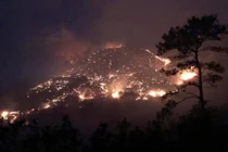 Quảng Ninh huy động hàng trăm người dập 2 vụ cháy rừng trong đêm