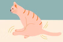 Giải mã thú vị: Tại sao chó mèo hay quệt mông xuống sàn nhà?