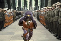 Cười sặc tiết với bộ ảnh chế về chú chim ưng anh hùng