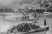 90 năm trước, quận Thủ Đức trông như thế nào?