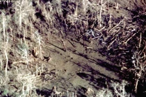 Kinh hoàng cảnh kích nổ quả bom 7 tấn thời Chiến tranh VN 