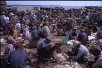 Ảnh để đời về cuộc sống ở Campuchia thập niên 1990 (2)