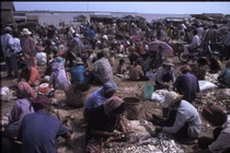 Ảnh để đời về cuộc sống ở Campuchia thập niên 1990 (2)