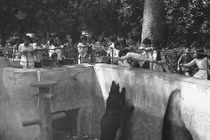 Ảnh độc về Thảo Cầm Viên SG 1970 của Carl Nielsen