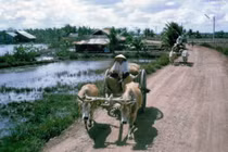 Ảnh đời thường thú vị ở Long An năm 1968 (2)