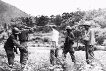 Số phận của tù binh trong cuộc chiến tranh Triều Tiên