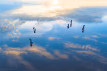 Ngắm biển vô cực đẹp huyền ảo ở Thái Bình