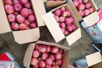 Trái cây "ngoại" la liệt, nhiều loại siêu rẻ chỉ 12.000-20.000 đồng/kg