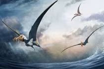 Lộ diện quái vật bay 100 triệu tuổi, sải cánh gấp đôi đại bàng