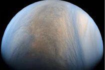 Một số dạng sự sống có thể đang trú ẩn trên Sao Kim