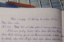 Bài văn tả đàn chim bồ câu khiến ai đọc xong cũng ngỡ ngàng