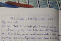 Bài văn tả đàn chim bồ câu khiến ai đọc xong cũng ngỡ ngàng