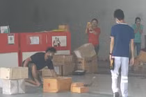 Rắn hổ mang chúa được phát hiện trong gửi chuyển phát nhanh