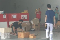 Rắn hổ mang chúa được phát hiện trong gửi chuyển phát nhanh