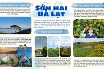 Du lịch Đà Lạt - Bạn trẻ ngày nay đi đâu, ăn gì?