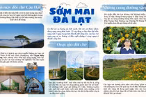 Du lịch Đà Lạt - Bạn trẻ ngày nay đi đâu, ăn gì?