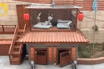 Sen xây nhà 2 tầng cho boss: Bể bơi, spa, điều hòa đủ cả