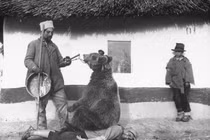 Những bức ảnh lịch sử hiếm có bạn chưa từng xem qua