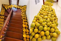 Cảnh tượng của nhiều gia đình miền Bắc ngày Tết nhìn cực quen