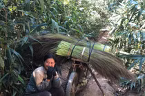 Người dân đổ xô đi nhặt lộc trời đầu năm bất chấp nguy hiểm