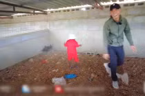 Đi thăm trang trại cùng Quang Linh Vlogs, Lôi con quậy "banh nóc"