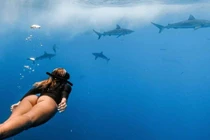 "VĐV bóng chuyền quyến rũ nhất hành tinh" đi lặn biển cực mê