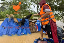 Những pha giải cứu "boss" bị kẹt ở bãi sông Hồng nhìn mà thương