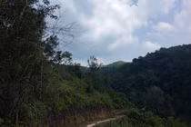 Khởi tố giám đốc Văn phòng đăng ký đất đai ở Lạng Sơn