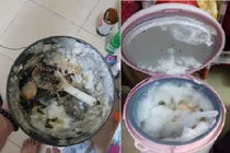 Hậu ăn Tết, netizen tá hỏa với thứ để quên trong nồi cơm