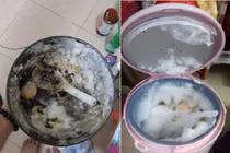 Hậu ăn Tết, netizen tá hỏa với thứ để quên trong nồi cơm
