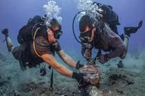 Đố bạn biết vì sao cáp quang Internet lại được đặt dưới đáy biển? 