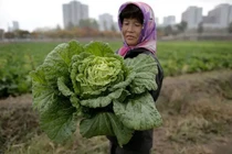 Hé mở cuộc sống bí ẩn của người lao động Triều Tiên