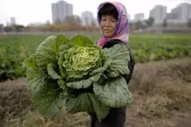 Hé mở cuộc sống bí ẩn của người lao động Triều Tiên