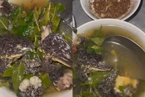 Nấu canh ếch đồng, cô gái khiến nhà bạn trai "xỉu ngang"