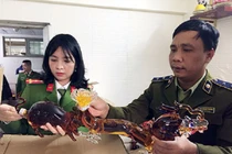 Tá hỏa: Thịt bò Canada quá hạn, rượu mác nhập ngoại… sang chiết từ can nhựa?