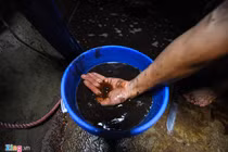 Viwasupco xả "lén" gần 3.000 m3 nước rửa bể chứa ra suối