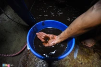 Viwasupco xả "lén" gần 3.000 m3 nước rửa bể chứa ra suối