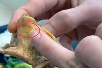 Khách sạn bị tố có dòi trong thức ăn: Phát hiện thêm hàng loạt sai phạm