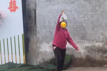 Mẹ đi ăn cỗ lấy phần, con trai có hành động đáng chê trách