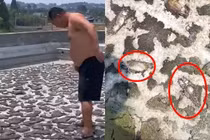 Đi vắng nửa tháng, người đàn ông giật nảy vì hồ cá cháy nước