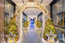 Loạt cây thông khủng lồ check in quên lối về ở các TTTM