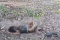 Thi thể người phụ nữ lõa thể dưới gầm cầu cao tốc Long Thành – Dầu Giây