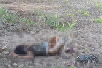 Thi thể người phụ nữ lõa thể dưới gầm cầu cao tốc Long Thành – Dầu Giây